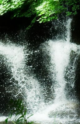 ミニ滝