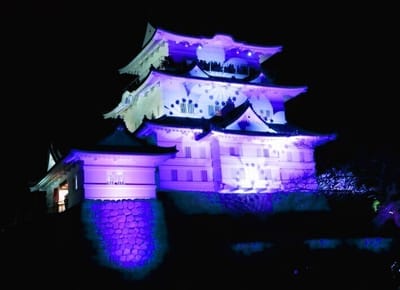 《お気に入り写真》　"小田原城"の、ライトアップ !!　
