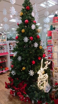 熊本 クリスマスツリー