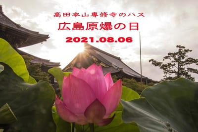 「広島原爆の日」のハス2021.8.6（高田本山専修寺）