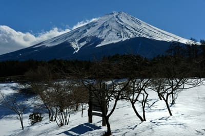 春を待つ富士北麓