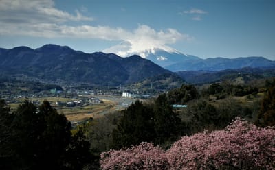 　🗻　松田町　"西平畑公園"　から見る富士山　🗻