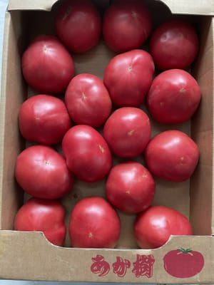 トマト箱買い