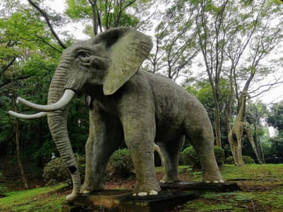 象の像　　　村上緑地公園(彼岸花と像)     2021年９月４日