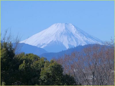 公57　　　　　　(522)公園から見る富士