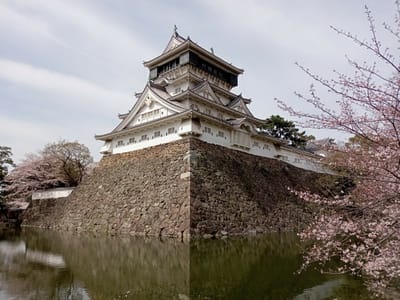 令和４年も同じ場所から小倉城🏯とソメイヨシノ桜🌸