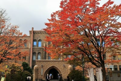 北海道大学構内秋のお散歩①