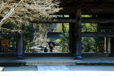 鎌倉・円覚寺
