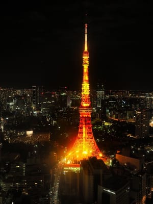 麻布台ヒルズからの東京タワー