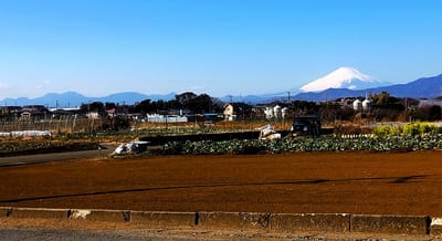 　　🗻 神奈中バスから見る、世界文化遺産『富士山』🗻