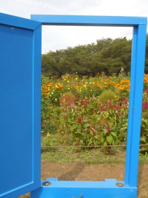 昭和記念公園　このようなドアが園内に数ヶ所ある