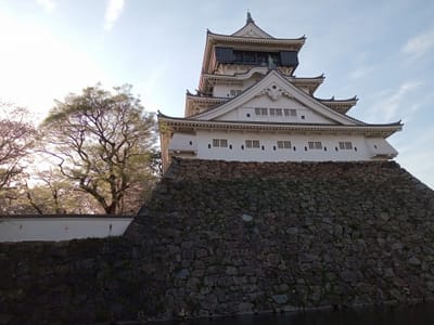例年撮影している小倉城🏯とソメイヨシノ桜🌸２（令和６年）