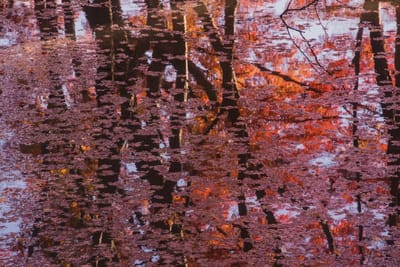 沼の水鏡を彩る紅葉2021 _03