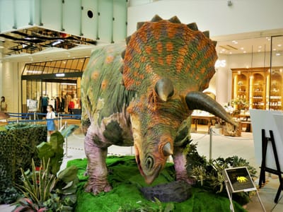 　　<恐竜>　　"トリケラトプス"　（Triceratops）