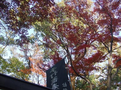 深大寺で紅葉などと新そばを楽しんできました。