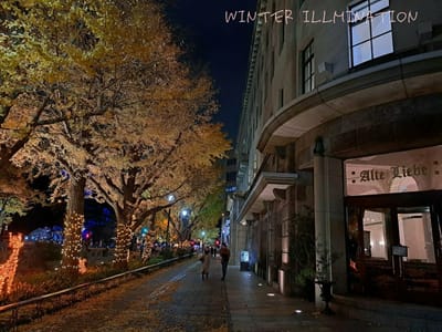 Winter illumination 
