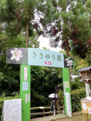 ②ー５　ささゆり園 入口　　　大神神社 (乗り物と緑が美しい寺社巡りツアー３日目)     2022年6月19日