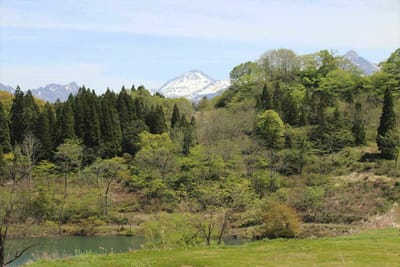 高浪の池5～雨飾山(右)と焼山(中)