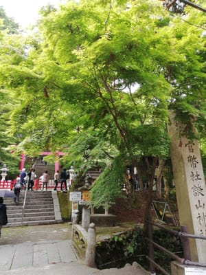 ①ー２  入山入口受付  駆け足参拝談山神社 (乗り物と緑が美しい寺社巡りツアー３日目)   2022年6月19日