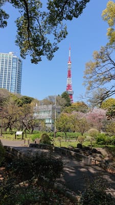 東京タワー　柴公園