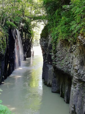 「ちょっと遠いが滝が見えた」　　真名井の滝の周辺  高千穂峡遊歩道  (南九州花と絶景について６つの名所巡りツアー２日目)    2023年６月３日