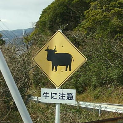 「牛」の何に注意？
