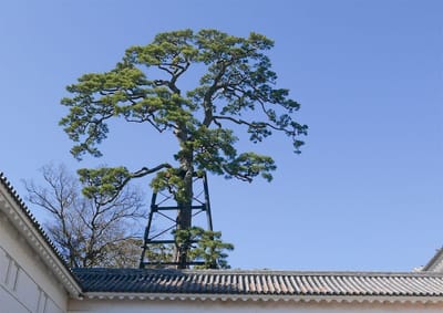 小田原城の青い空