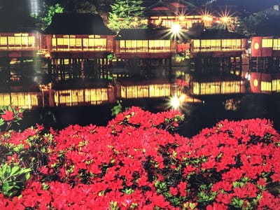 花のみやこ、京都は早くも初夏の彩り…