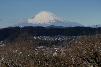 今冬、お気に入りの写真 "大磯城山公園から見る富士山"