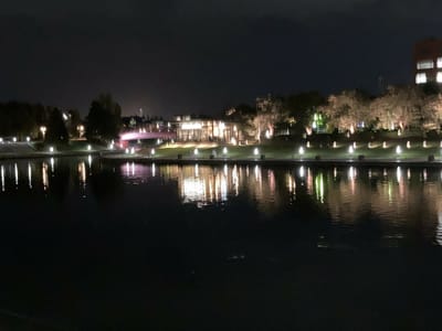富山県環水公園夜景