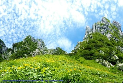 空と岩と花の夏一色