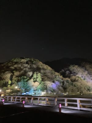 京都・嵐山花灯路〜渡月橋2