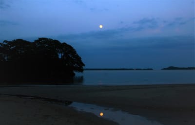 ２０２１年、松島の朧月夜　（三月十五夜）