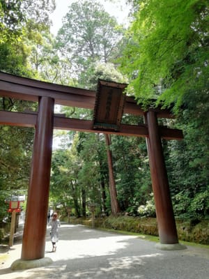 ①ー2「大鳥居」   石上神社  (乗り物と緑が美しい寺社巡り３日目)    2022年6月19日