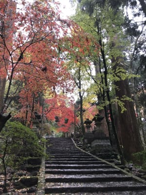山のお寺の紅葉