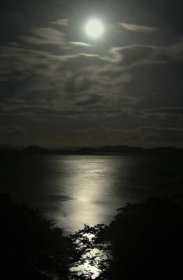 2021-11-19松島の皆既月食を・・・そして、被災地・石巻市内の現状。