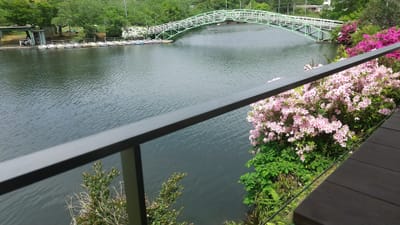貴志川線沿いの散策−大池遊園