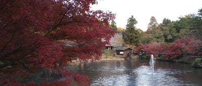 名古屋東山植物園・奥池～合掌造りの家・紅葉