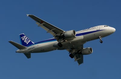 ☆　全日空(ANA)  Airbus A320-200　☆　退役済