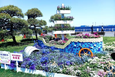  山下公園・趣向を凝らした21区画の花壇が並ぶ「花壇展」