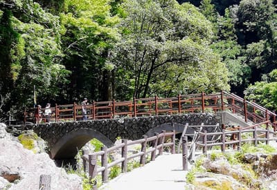 「槍飛橋」　続高千穂遊歩道   (南九州花と６つの絶景探訪ツアー)      2023年６月３日