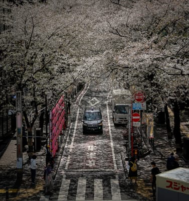 渋谷桜丘