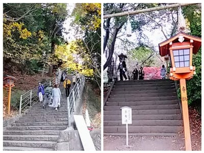 「階段が多い」　続新倉山富士浅間神社 (山梨県紅葉絶景3景めぐりツアー)   2023年11月13日