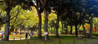 　　　　《横浜公園》　 日本庭園 　 “彼我庭園”