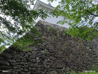 亀山城跡と菖蒲