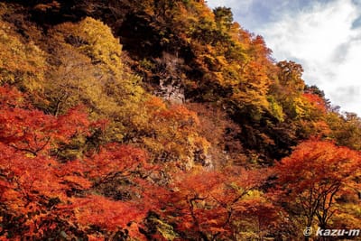中津渓谷の紅葉