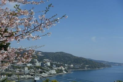 熱海城の桜まつり