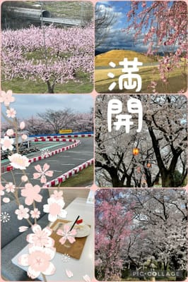 桃源郷と甲州蚕影桜