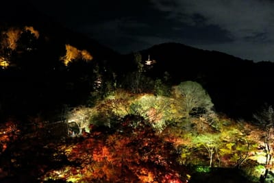 京都・清水寺紅葉ライトアップ