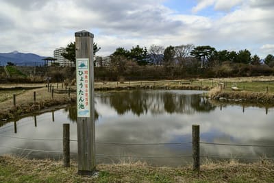 ぶらりカメラ散歩　松田　ひょうたん池